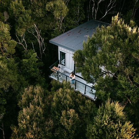 Treetop Tranquility At Rekindle Tree Houses Opua Luaran gambar
