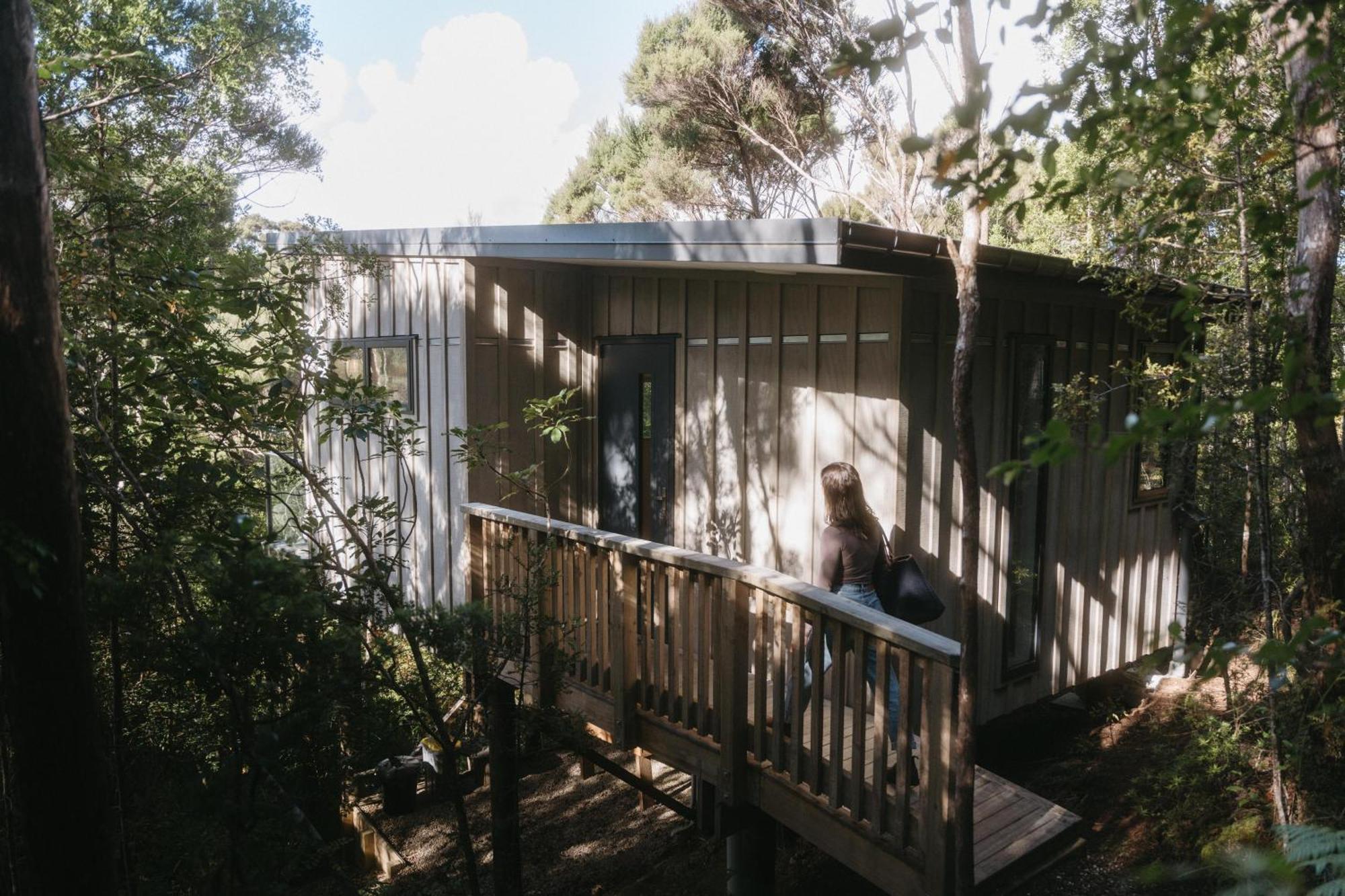 Treetop Tranquility At Rekindle Tree Houses Opua Luaran gambar