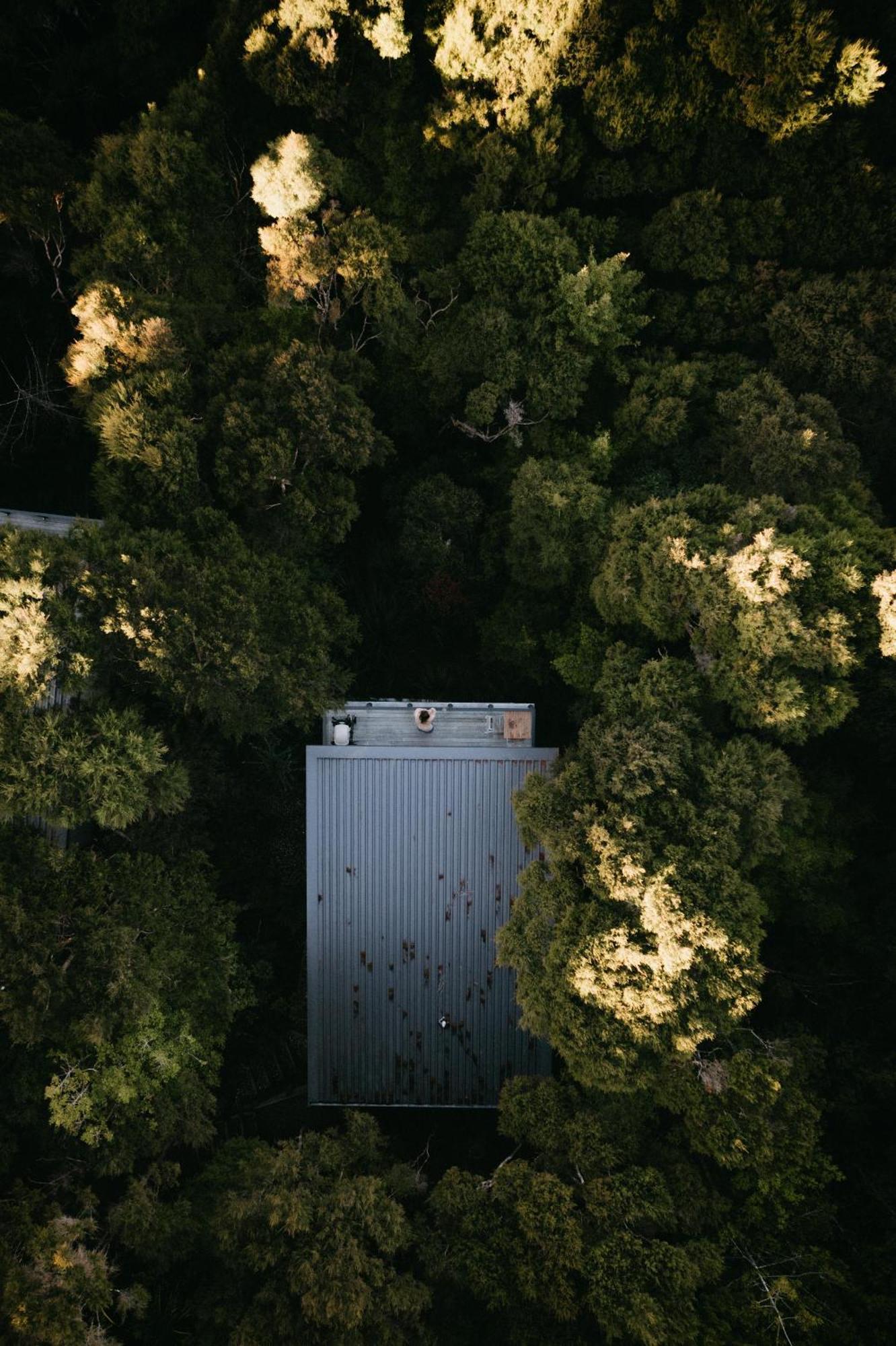 Treetop Tranquility At Rekindle Tree Houses Opua Luaran gambar