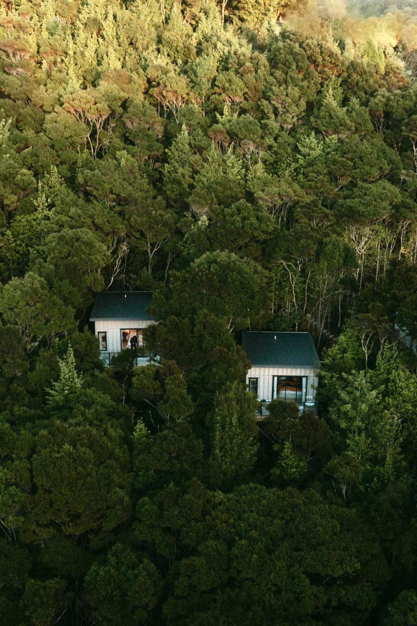 Treetop Tranquility At Rekindle Tree Houses Opua Luaran gambar